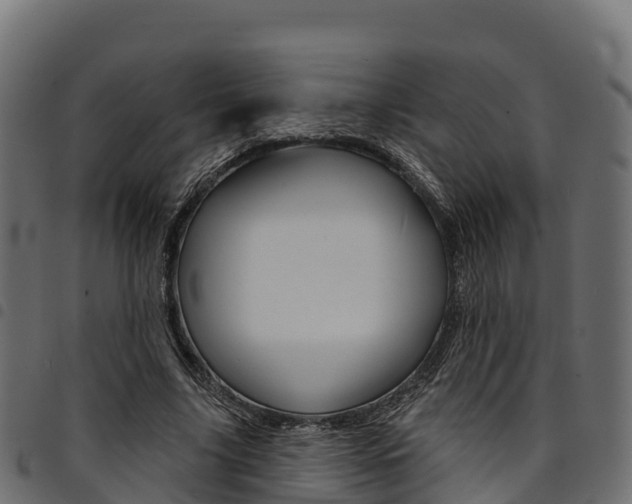 X0000094960635200711291129