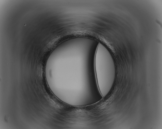 X0000094960637200711291129