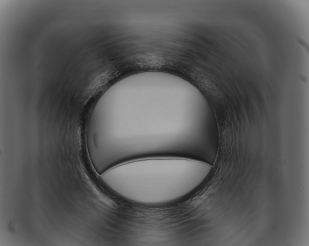 X0000094960638200711291129