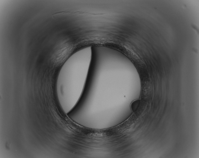 X0000094960639200711291129