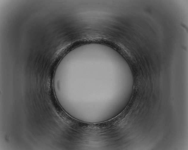 X0000094960640200711291129