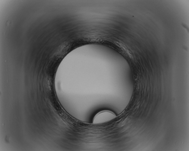 X0000094960643200711291129