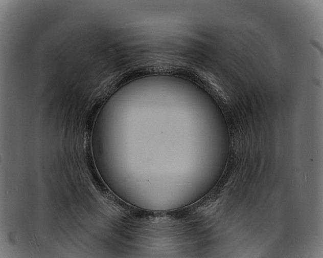X0000094960645200711291129