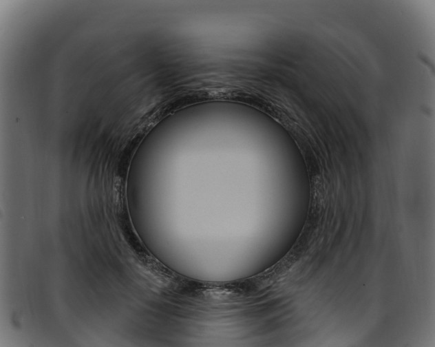 X0000094960650200711291129