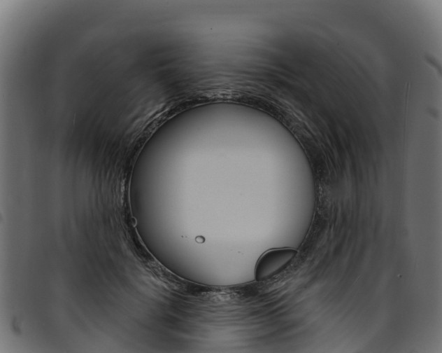 X0000094960652200711291129