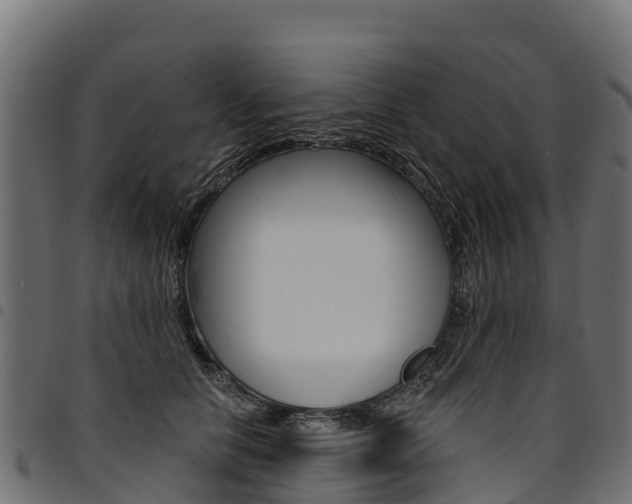 X0000094960658200711291129