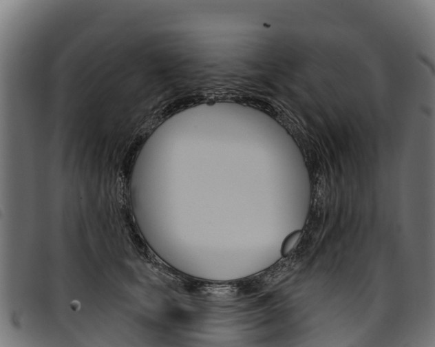X0000094960659200711291129