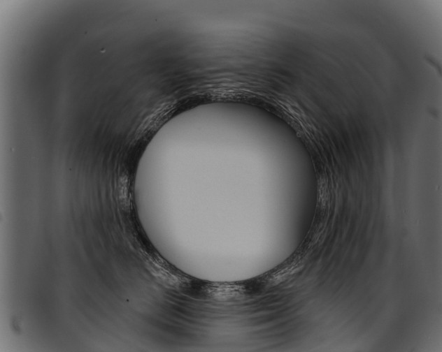X0000094960670200711291129