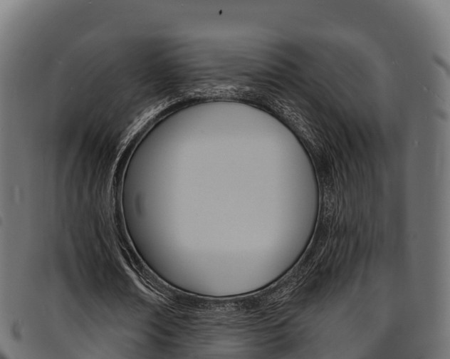 X0000094960674200711291128