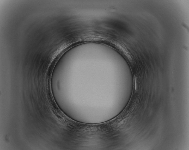 X0000094960675200711291128