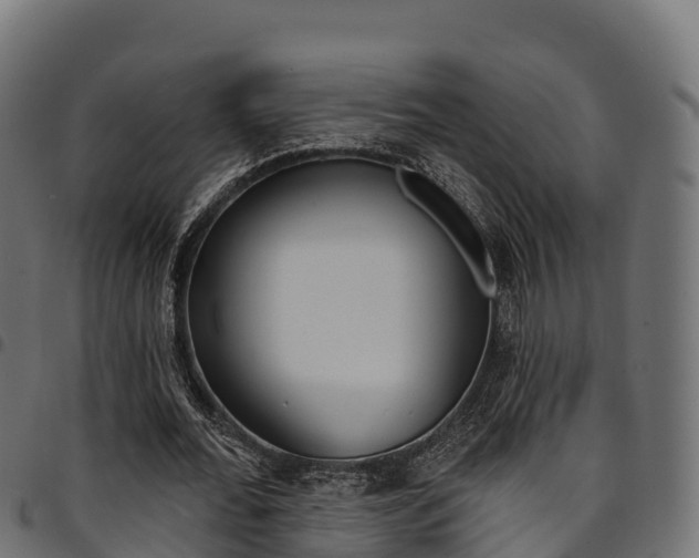 X0000094960676200711291128