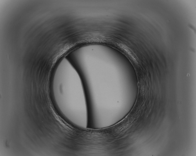 X0000094960677200711291128