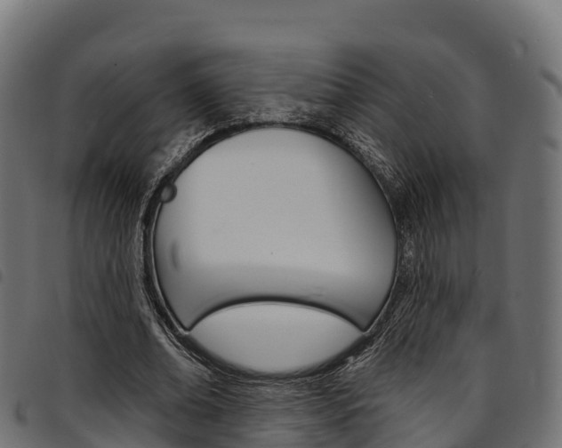 X0000094960678200711291128