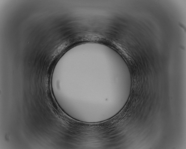 X0000094960679200711291128