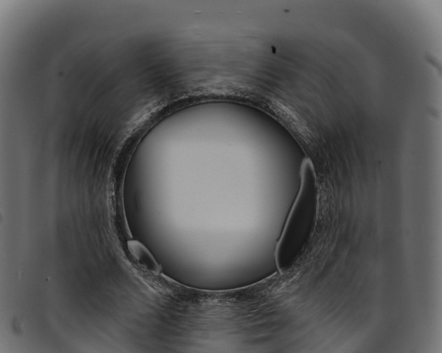 X0000094960680200711291128