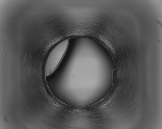 X0000094960681200711291128