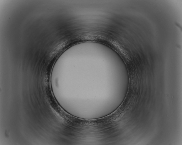 X0000094960683200711291128