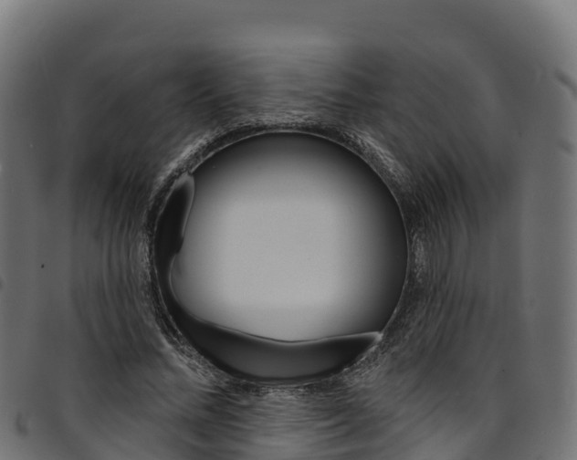 X0000094960684200711291128