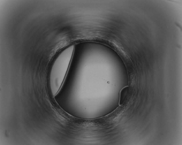 X0000094960685200711291128