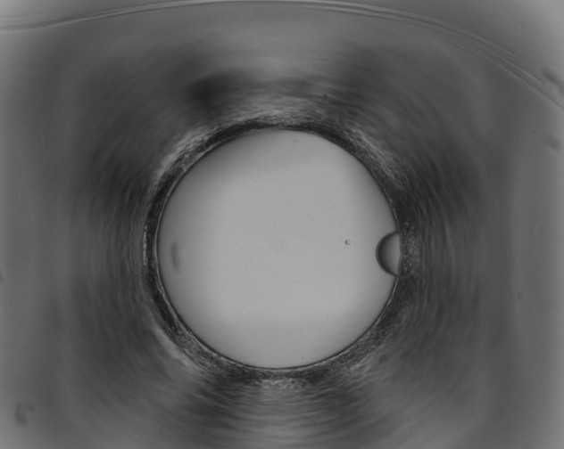 X0000094960686200711291128