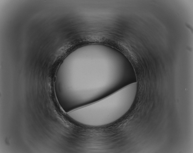 X0000094960688200711291128