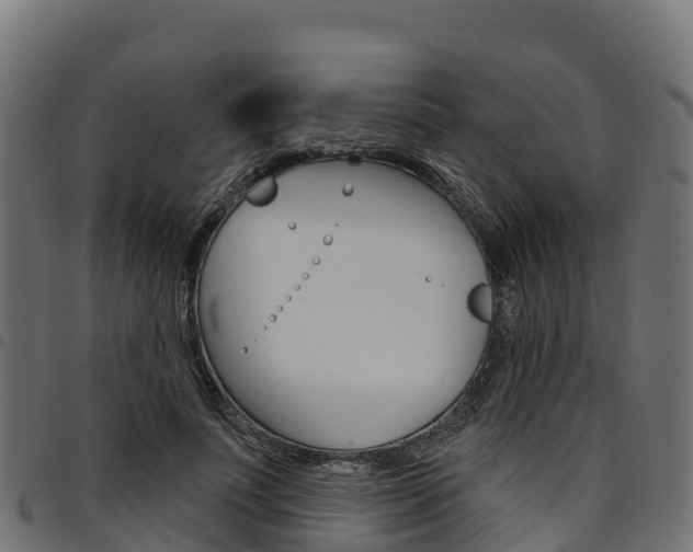 X0000094960691200711291128