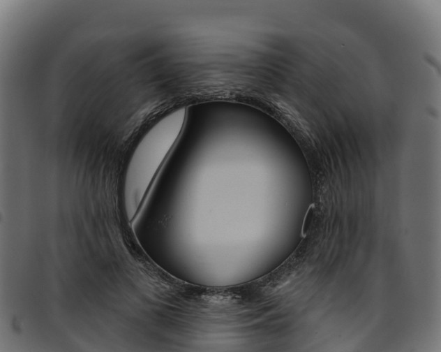 X0000094960693200711291128