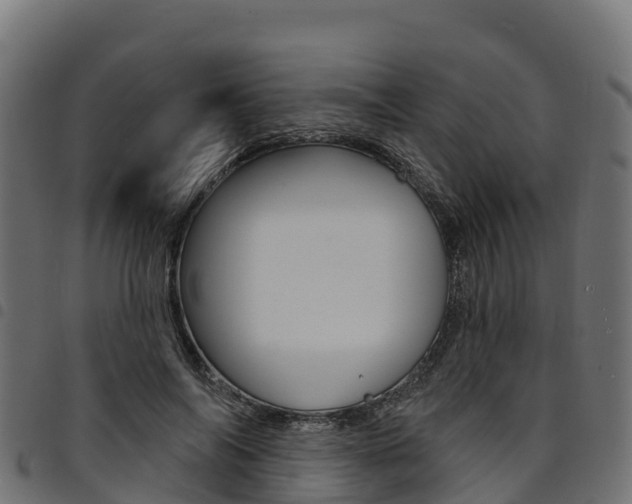 X0000094960694200711291128