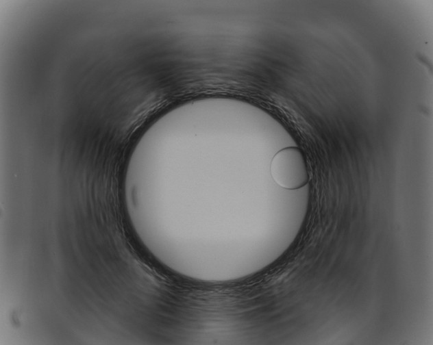 X0000094960696200711291128