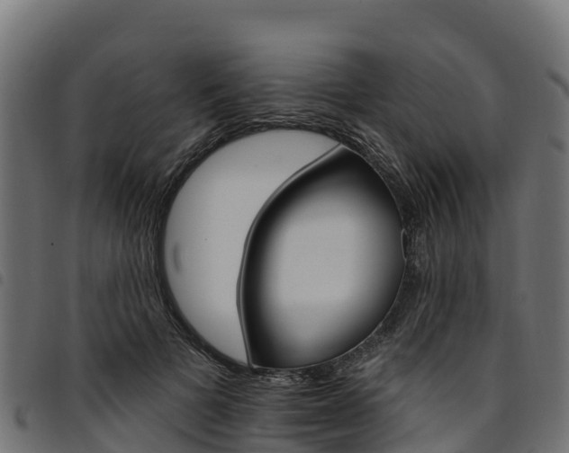 X0000094960697200711291128