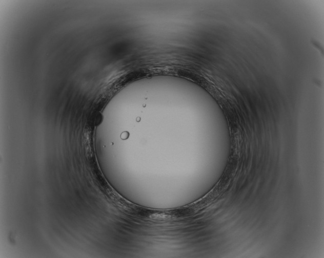 X0000094960699200711291128