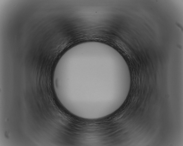 X0000094960700200711291128