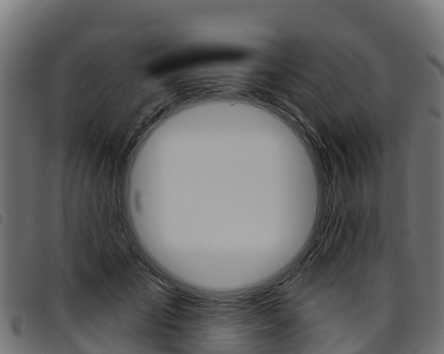 X0000094960701200711291128