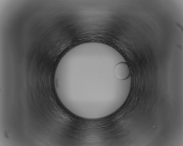 X0000094960704200711291128