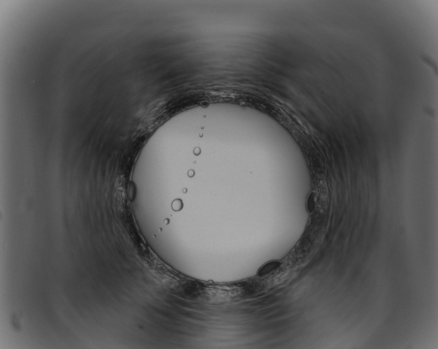 X0000094960707200711291128