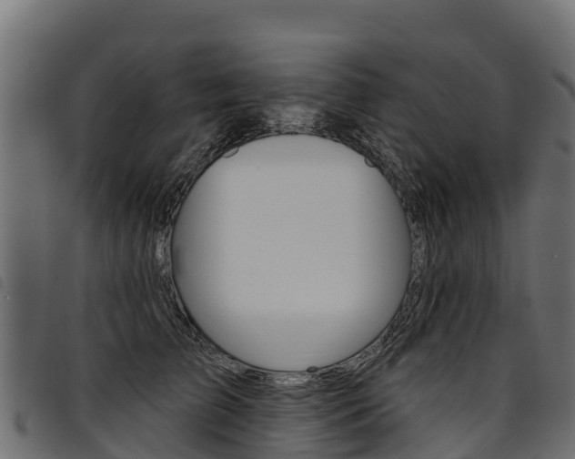 X0000094960709200711291128