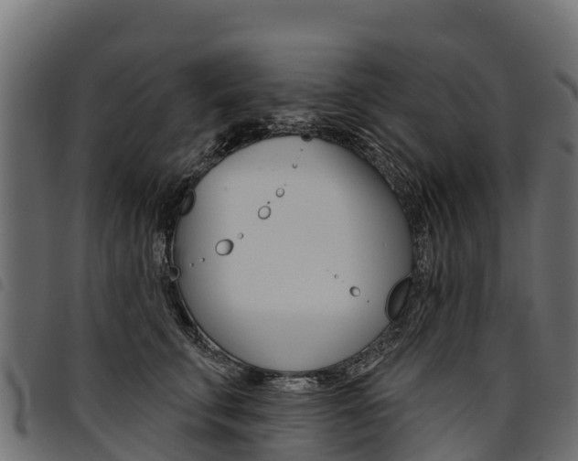 X0000094960711200711291128