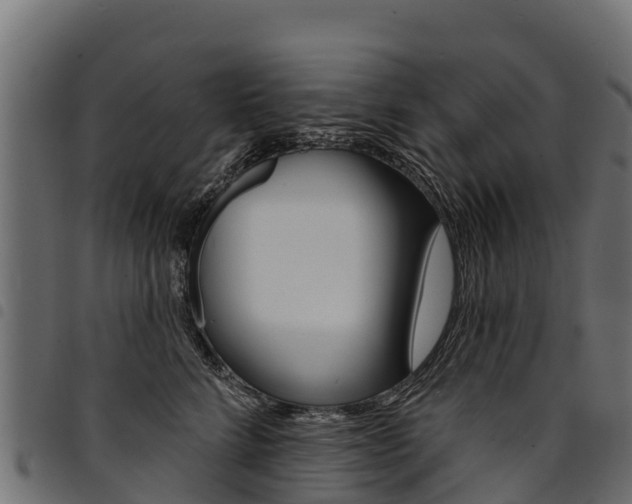 X0000094960712200711291128