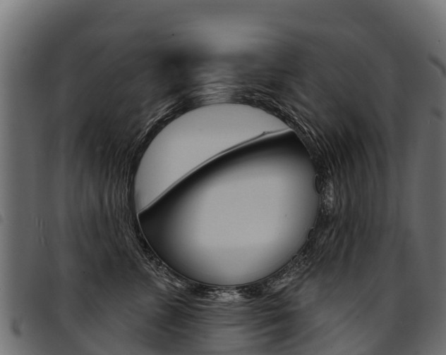 X0000094960715200711291128