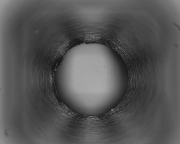 X0000094960716200711291128