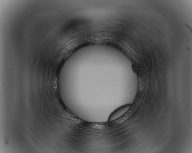X0000094960718200711291128