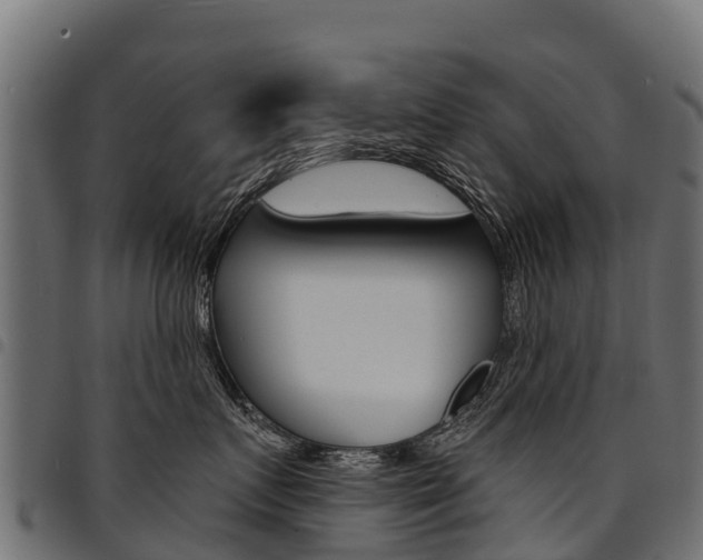 X0000094960719200711291128