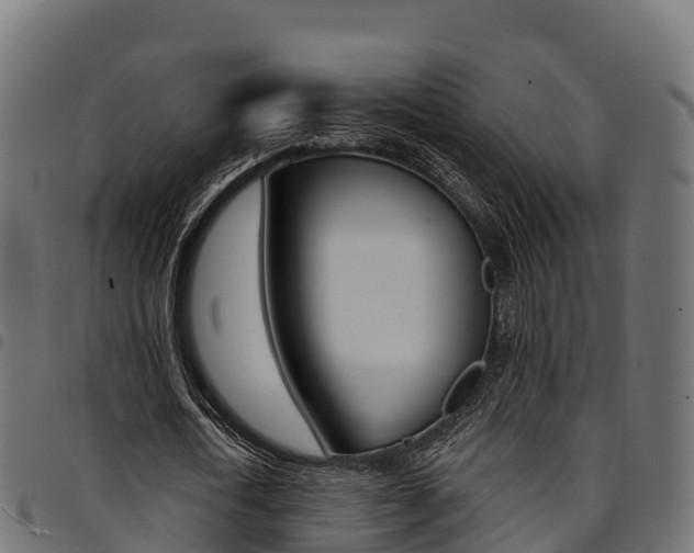 X0000094960722200711291127