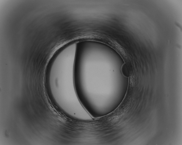X0000094960724200711291127
