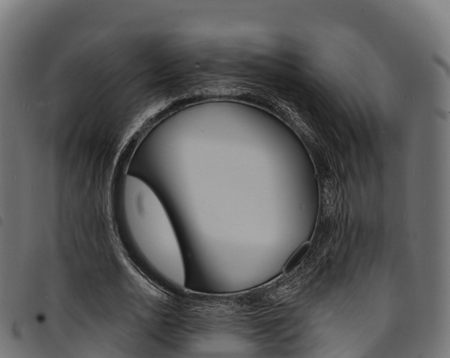 X0000094960726200711291127