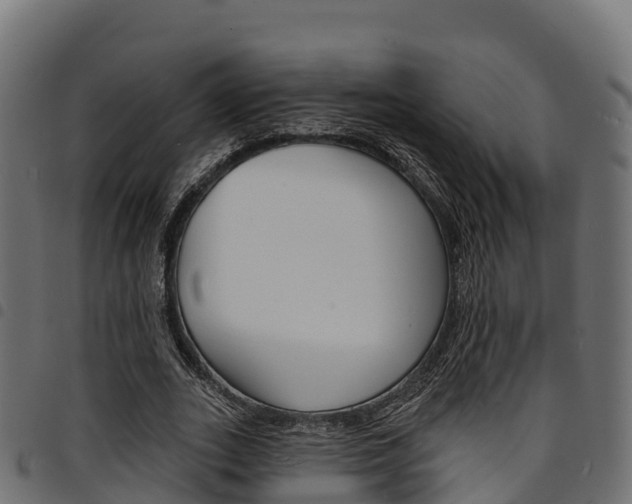 X0000094960727200711291127