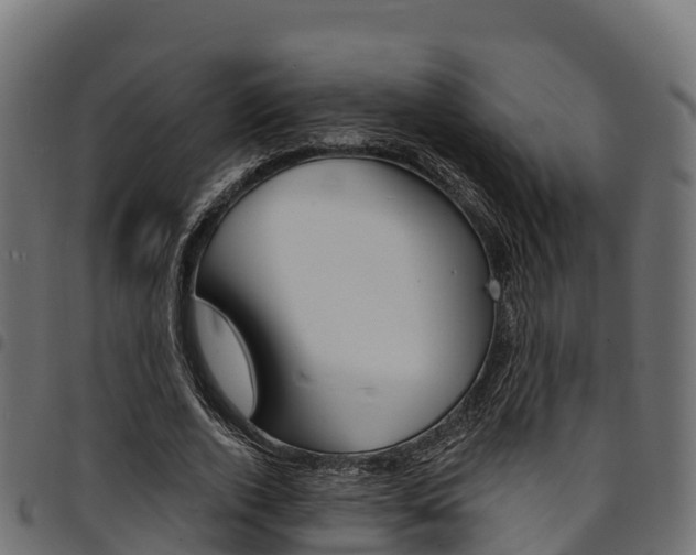 X0000094960728200711291127