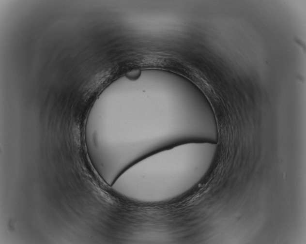 X0000094960729200711291127