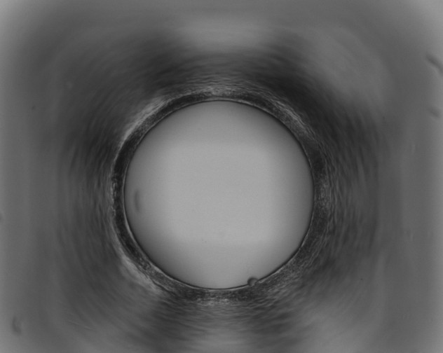 X0000094960730200711291127