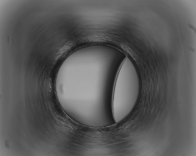 X0000094960731200711291127